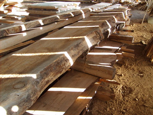 stock at Greenleaf sawmill, unprocessed